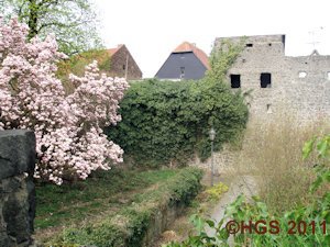Frühling am Mühltor